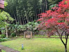 -宁波余姚老柿林山居度假村