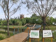 -东郊湿地公园