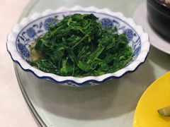 炒豆苗-广迎居老正兴菜馆