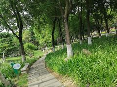 -名树园