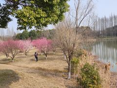 -南湖湿地公园