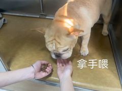 -谐和贝康宠物医院24小时·宠保定点(急重症转诊中心)