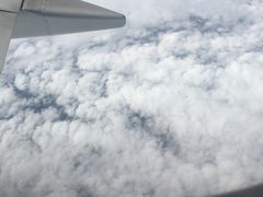 -八婆婆烧仙草(中山路店)