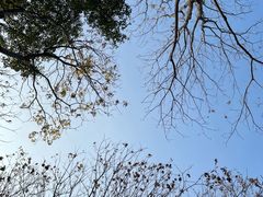 -苏州河梦清园环保主题公园