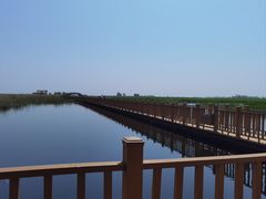-白洋淀风景区