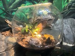 -上海海洋水族馆