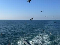-海驴岛(荣成市)