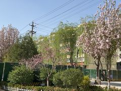 -上海交通大学医学院附属仁济医院(西院)