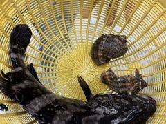 -鑫鸿达·海鲜闽菜热炒小馆(中山路店)