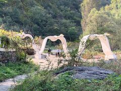 -白河湾生态旅游一条川