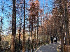 -云龙湖旅游景区