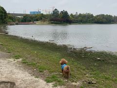-美兰湖景区
