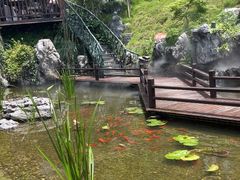 -耕渔小院·湖南鱼鲜(望城店)