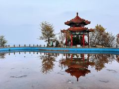 -白水寺森林公园