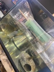 -周忆刺青原创设计定制