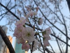 -西北湖绿化广场