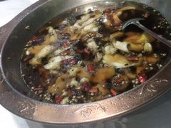 -雲蜀龙阁·金牌水煮鱼(方庄店)