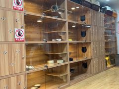 -喵百万·布偶·蓝金金渐层英短·猫舍(百子湾店)