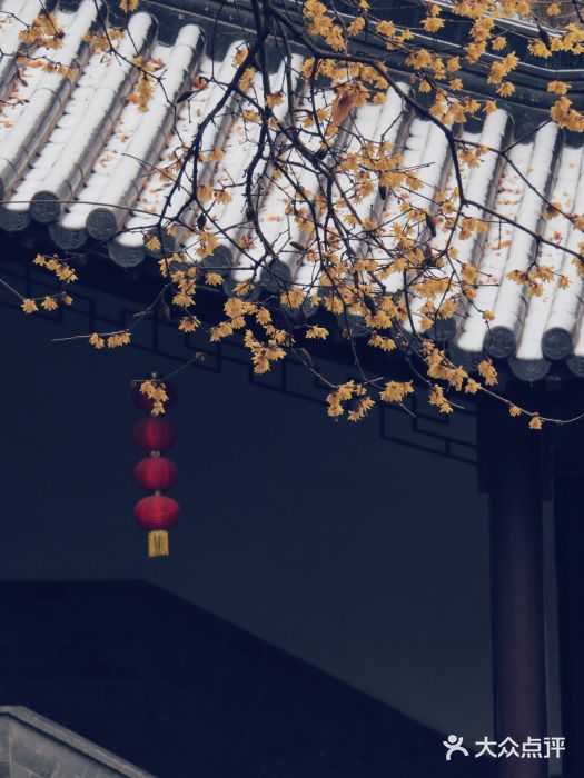 灵谷景区图片