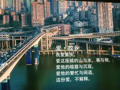 -大王油茶(磁器口店)