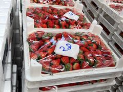 草莓-西郊国际农产品交易中心