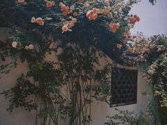 -绮园景区
