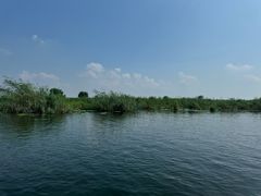-白洋淀风景区
