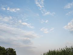 -高子水居