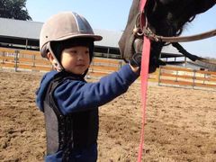 -月河湾马术俱乐部(朝阳店)