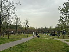 -洨河生态公园