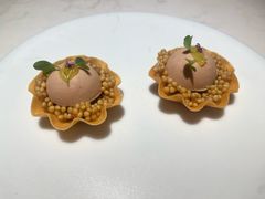 -觀芷隐轩