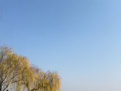 -西湖游船