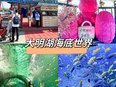 -大明湖海底世界