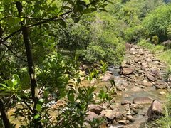 -广州白江湖森林公园