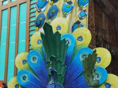 -西双版纳原始森林公园