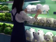 -海合安成都极地海洋公园