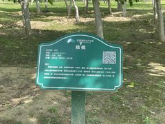-西安浐灞国家湿地公园