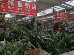 -秦美花卉(天朗·莱茵小城2期店)