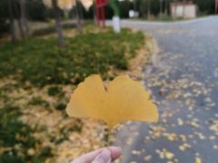 -东郊湿地公园