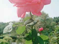 -人民公园(罗湖区)