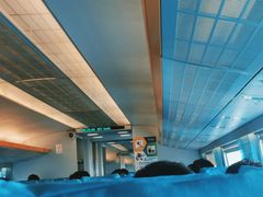 -龙阳路磁悬浮列车总站-停车场