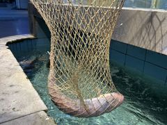 -金百门·顺德海鲜酒家(陈村店)