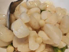 -洋洋中餐馆·SINCE 1997(龙湖星湖天街店)