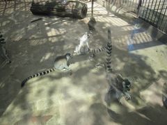 -昆明动物园