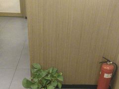 -耳湾躺式采耳SPA馆(保利五月花店)