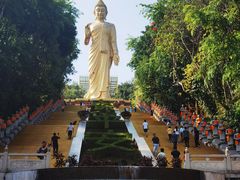 -西双版纳勐泐文化旅游区