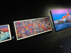 -罗红摄影艺术馆