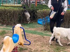 -廊坊固安福朋喜来登酒店