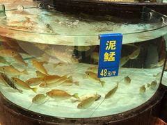 -东豪园林海鲜酒家(南港路辅路店)