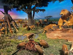 -国家自然博物馆